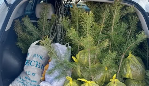 «Арман қала — Жасыл Ақсу»